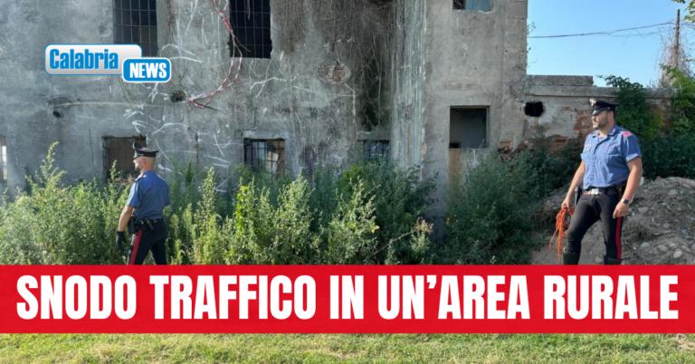 Droga e contanti scoperti dai Carabinieri in casolare agricolo del Cosentino, 4 arresti e una denuncia