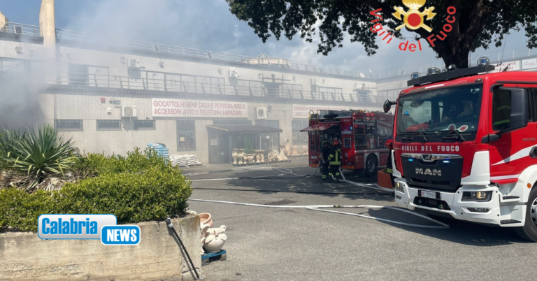 VIDEO-Catanzaro, incendio divampa in un’attività commerciale in viale Lucrezia della Valle