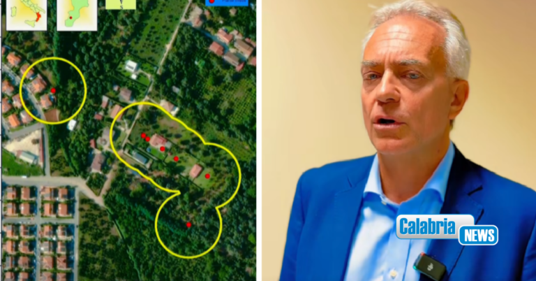 VIDEO-Annuncio sui social dell’assessore Gallo: focolaio di xylella nel territorio di Taurianova