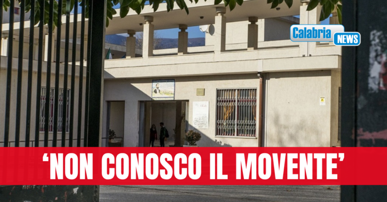 Lamezia, parla la docente del ‘Nicotera-Costabile’: Grazie ai Carabinieri e per alunni affetto e riconoscenza