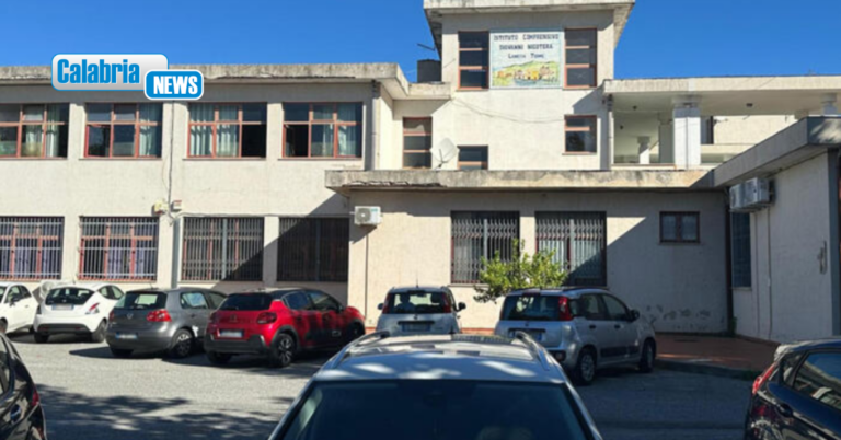 Lamezia, studente 14enne voleva accoltellare la prof: Carabinieri intercettano messaggi online e lo fermano