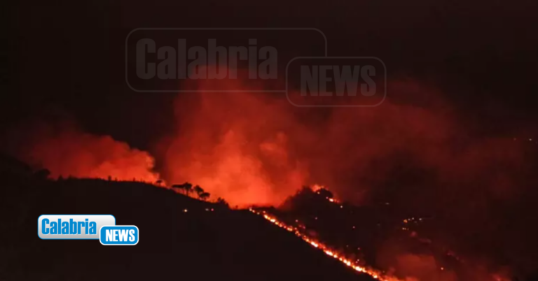 Roghi ad Aieta e Santa Domenica Talao: boschi devastati dalle fiamme alimentate da forti raffiche di vento
