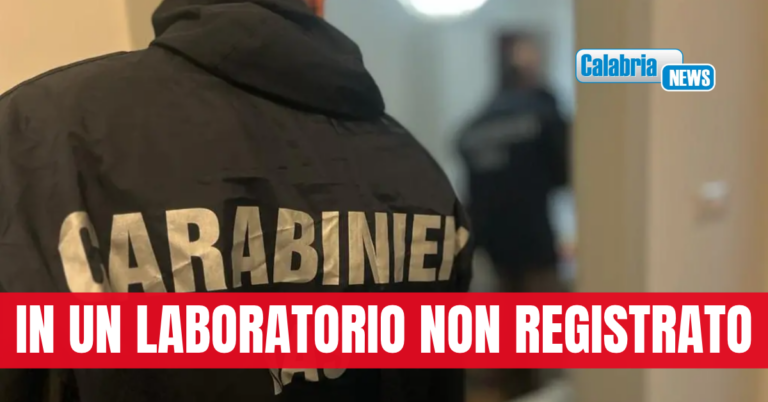 Blitz del NAS Carabinieri Catanzaro: Sequestrati 1.500 Kg di alimenti e 355 di cosmetici non conformi
