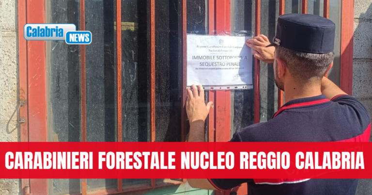 Controlli in un’azienda di lavorazione delle olive: sequestrati oltre 1,6 tonnellate di prodotti e l’opificio