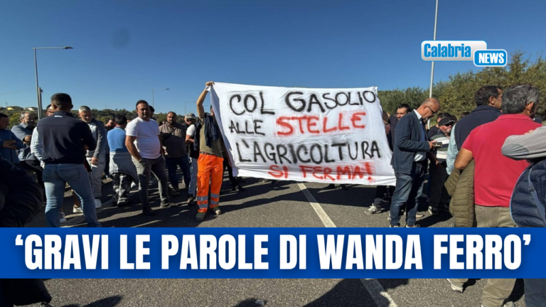 Pd Calabria: “Se ha elementi sulle infiltrazioni mafiose nelle proteste si rivolga alle autorità competenti”