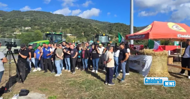 Agricoltori in protesta, continuano i presidi di Falerna e Pizzo: “Non si molla, servono garanzie per il futuro»