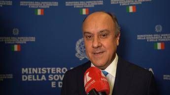 Made in Italy, Federdistribuzione Horeca: “Grande cambiamento distribuzione moderna in ultimi anni”
