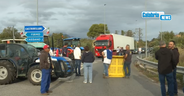 Agricoltori in protesta in Calabria, M5S: “Oltre 50 milioni tra Europa e Regione, quando arrivano gli aiuti?”