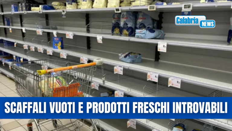 Caro gasolio, Azienda grande distribuzione: se non si ferma protesta tir in Calabria problemi seri